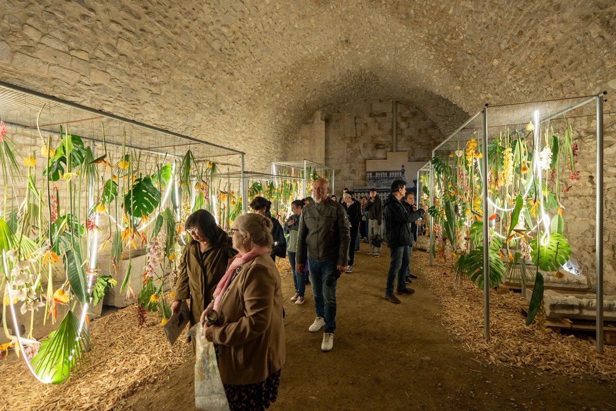 Ajuntament de Girona tweet media