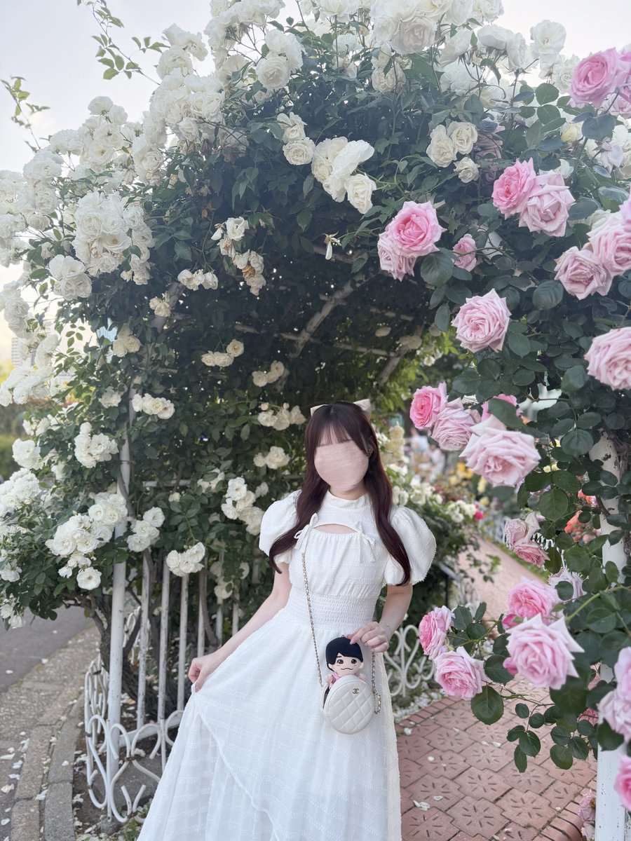 あかねちゃん (@akanechan311) / Posts / X