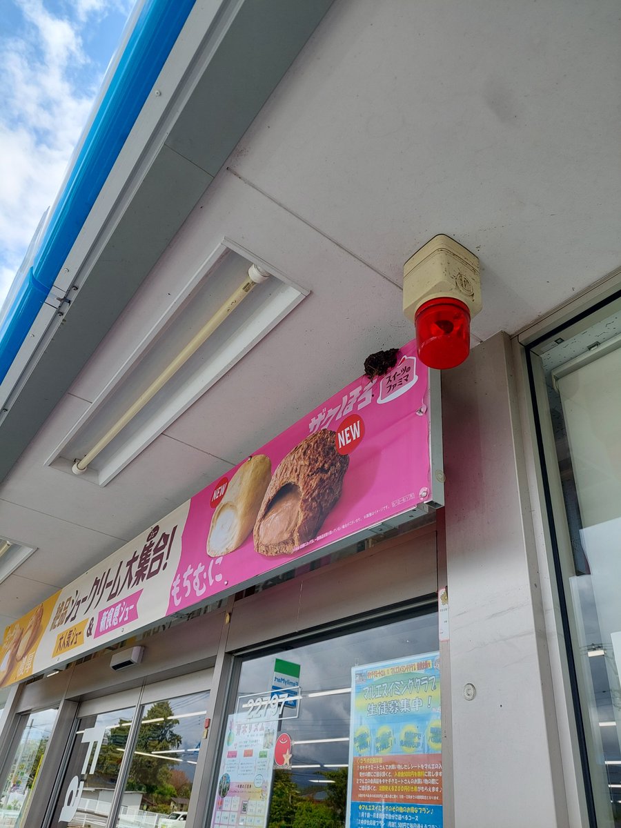 シンヤ(^ω^) tweet media