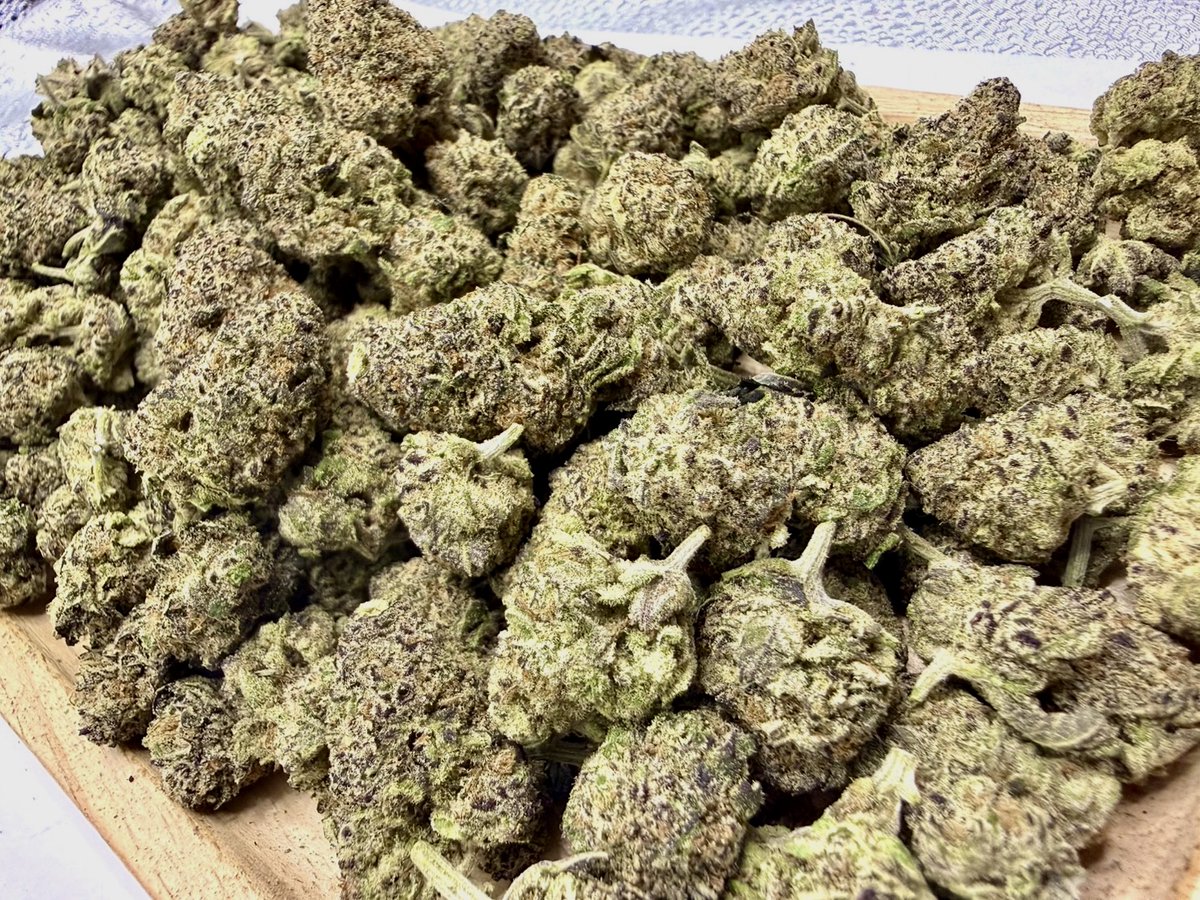 SAKURA🇯🇵🇹🇭SAMURAI WEED tweet media