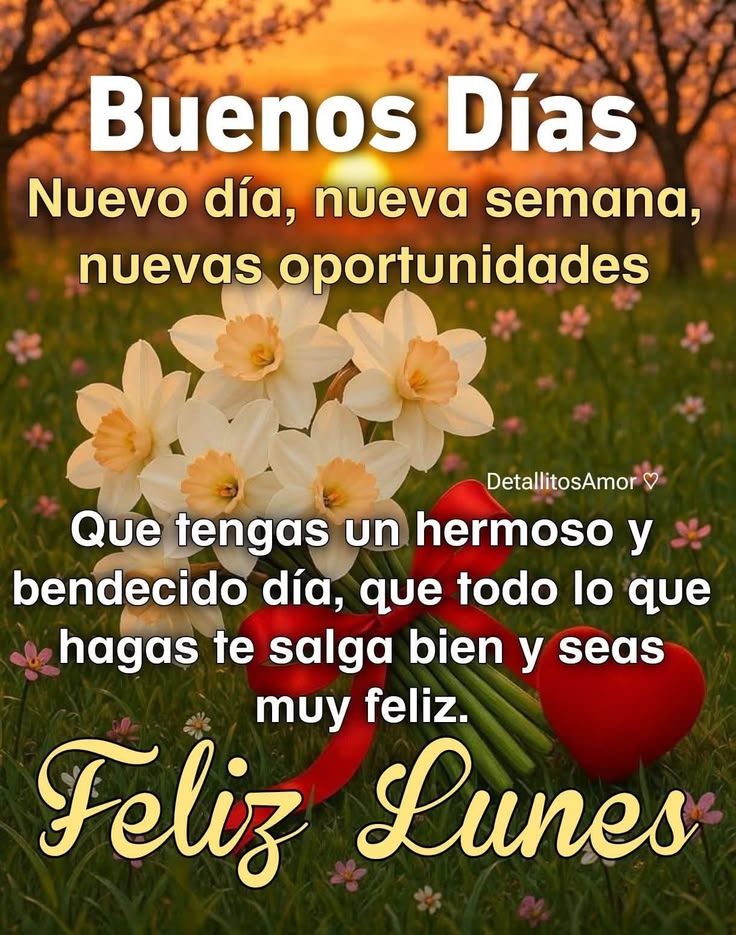 Sandraamparo (@sandraamparo5) on Twitter photo 