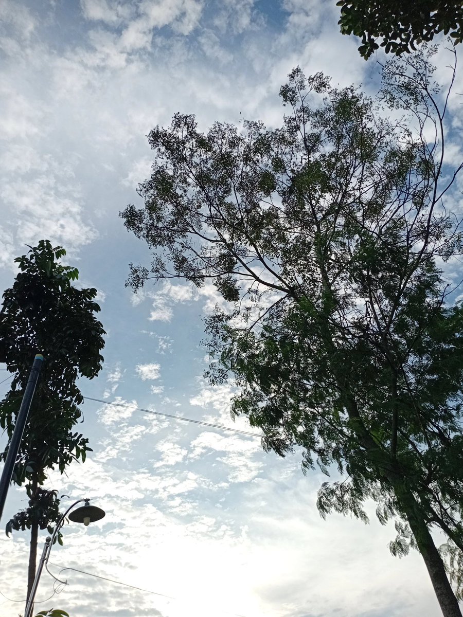 rrvinceah🌱✿ tweet media