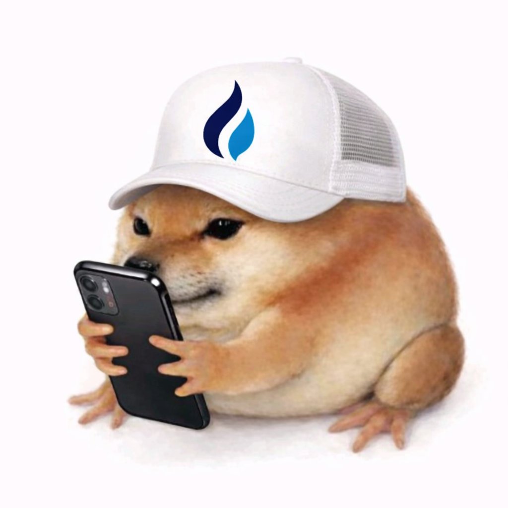 :// bonky (🗡️&🛡️) tweet media
