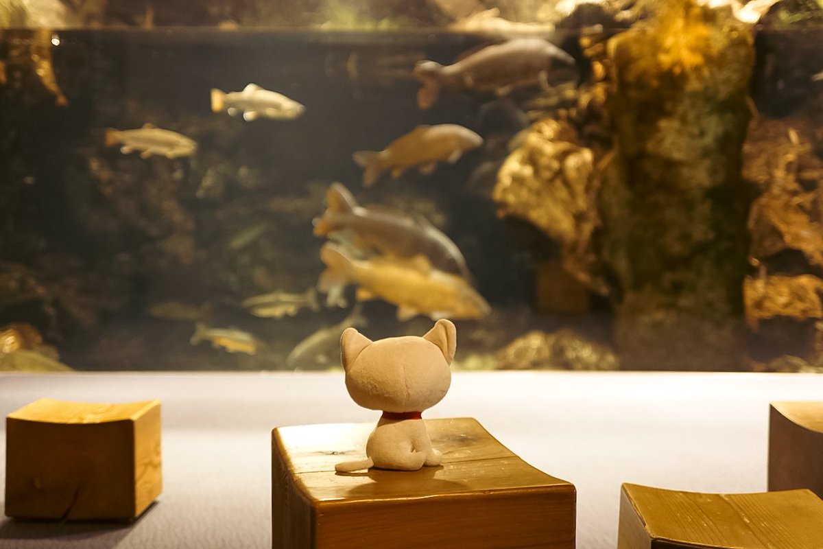 Leash's tweet photo. ぬい活勢のおかげで俺のようなぬいぐるみ的な生き物が外を歩いても指を差されない時代になったと思ったら、一部のぬい撮り過激派の影響で肩身が狭くなるというね。どの界隈も似たようなもんですね…… https://t.co/uMlaJJ8uAl