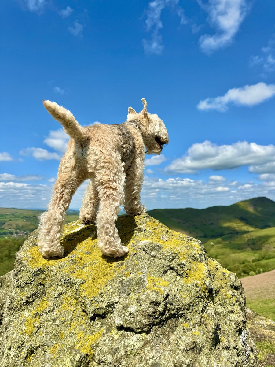 Bertie Lakeland tweet media