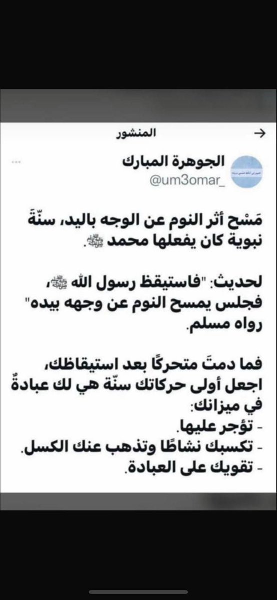 مها الزوم tweet media