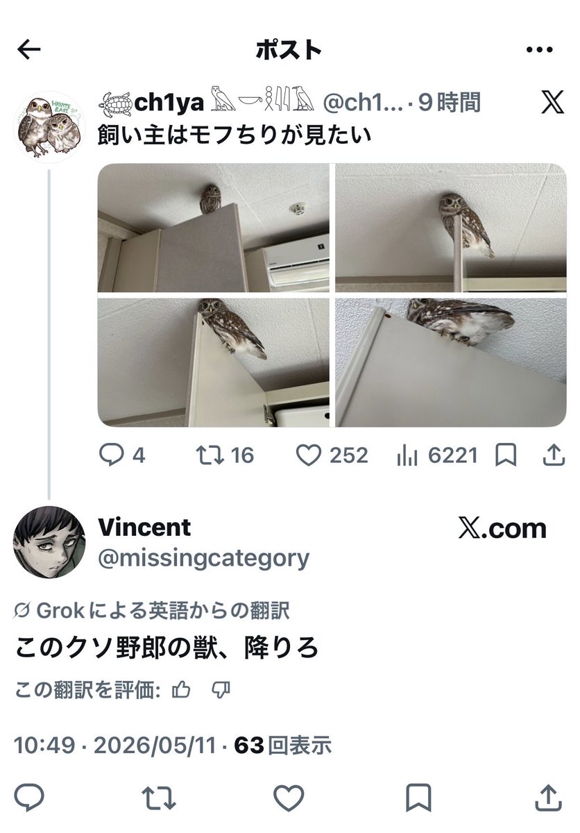 𓆉ch1ya 𓅓𓎡𓎛𓇋𓇋𓄿 tweet media