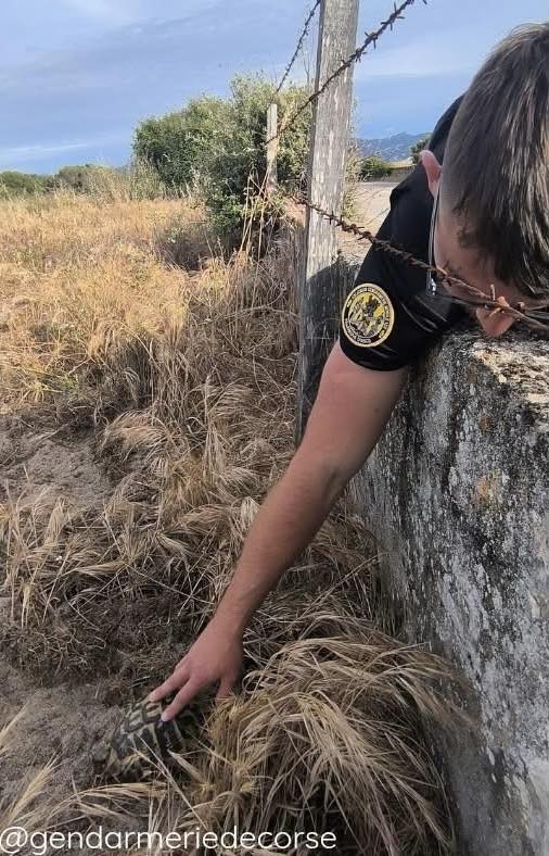 Gendarmerie nationale tweet media