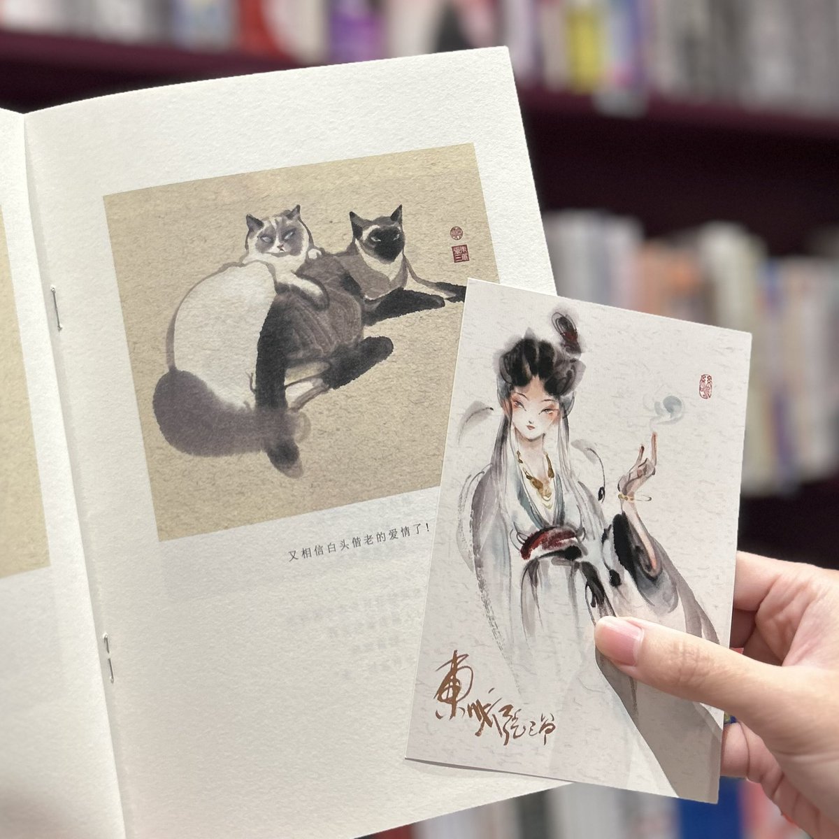 Kinokuniya Chinese Book • 泰國紀伊國屋書店 tweet media