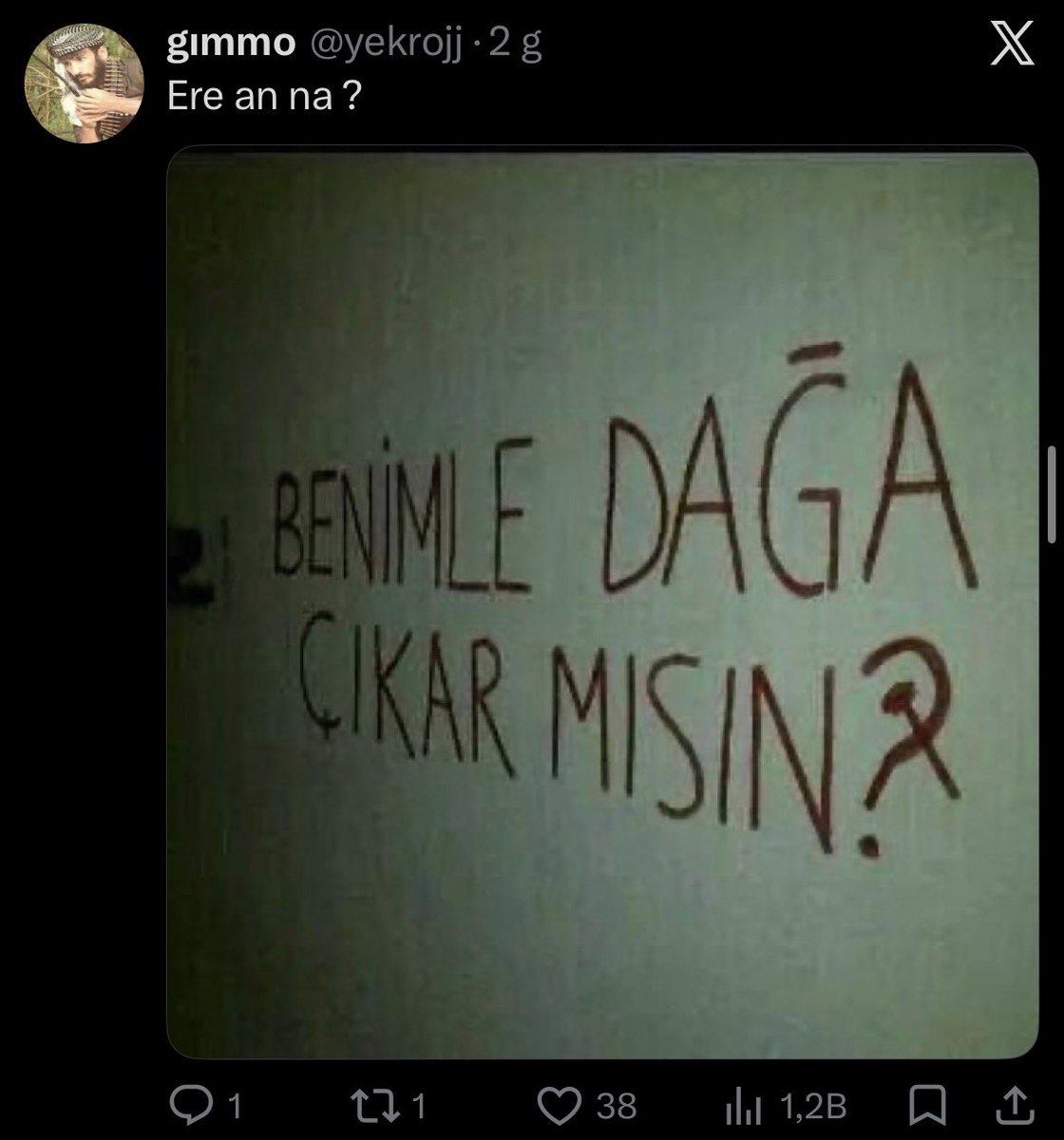 Türk tweet media