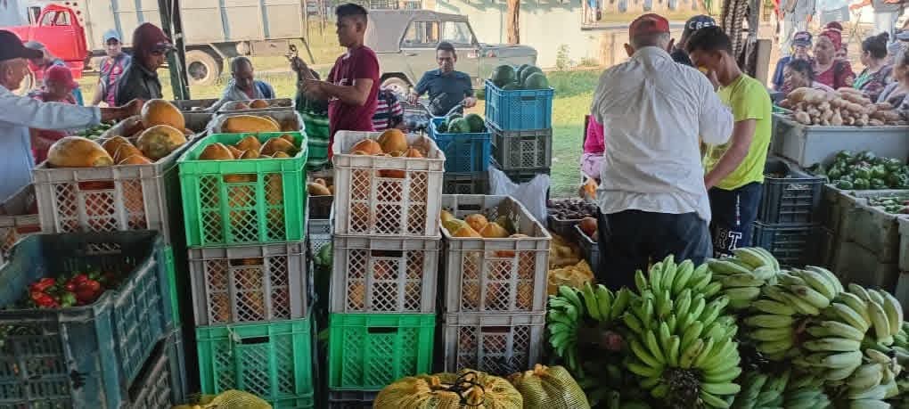 OscarPrezLeyva1's tweet photo. Con gran esfuerzo de organismos y entidades tuneras se realizó la feria agropecuaria y comercial dedicada a las madres en #LasTunas, demostrando que #SíSePuede. #DíaDeLasMadres @TeresaBoue @_TereFelipe_ @yoleinisfmc https://t.co/IE5yA3QjbI