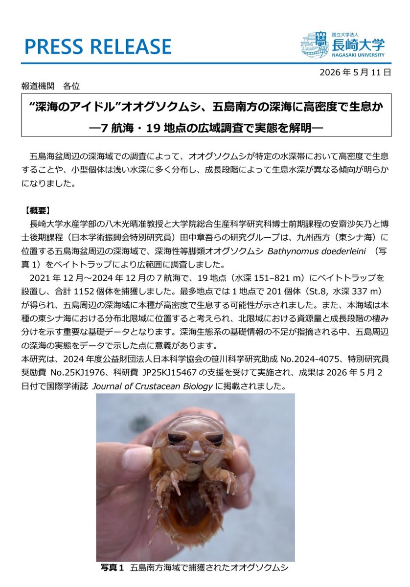 医療Next のぼたけ tweet media