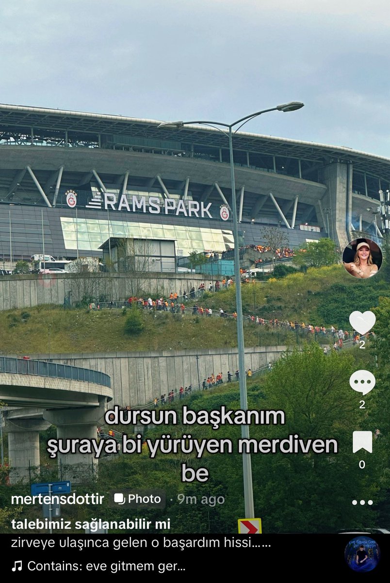 selin tweet media