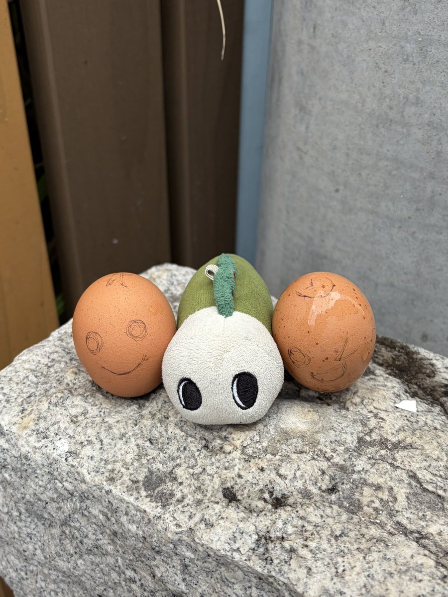 7373suke's tweet photo. 温泉卵と顔の大きさ同じだね https://t.co/jdoKNNpODF