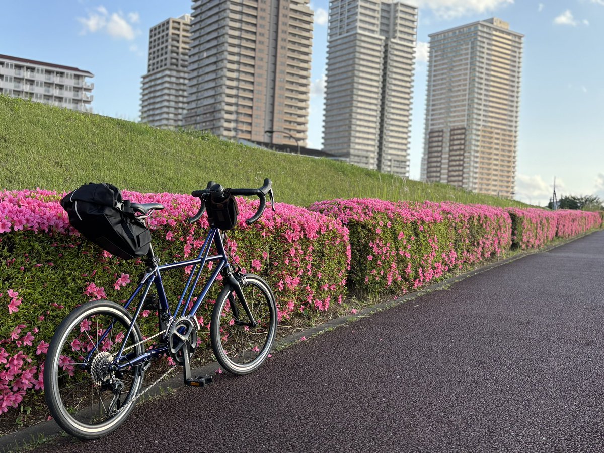 LIFE with BICYCLE tweet media