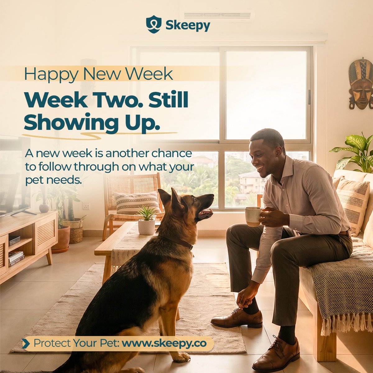 Skeepy tweet media