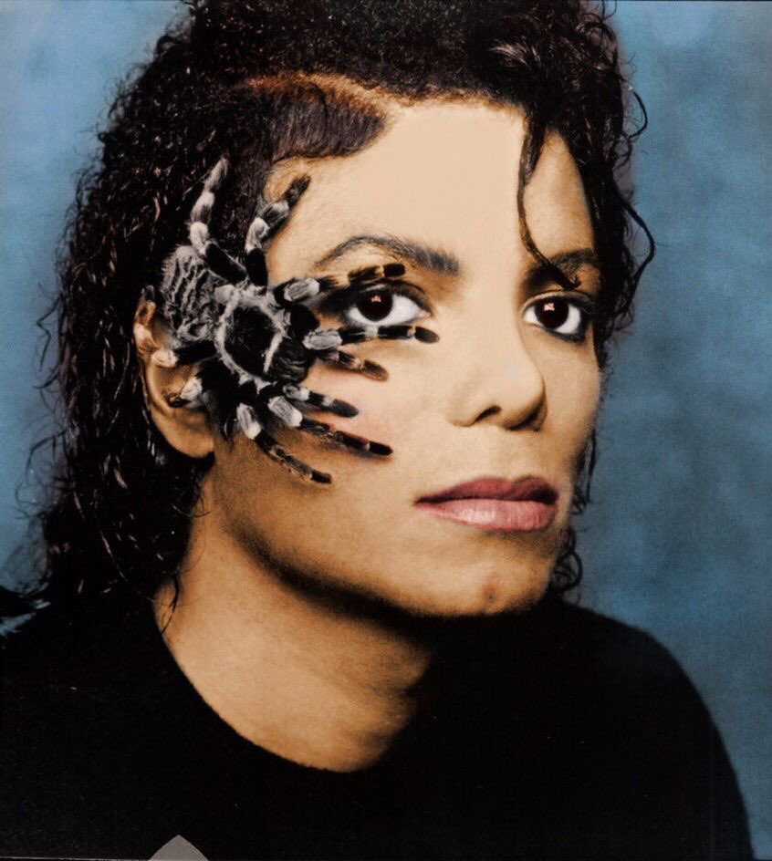 MJThrillsHer ☽ ♡ tweet media