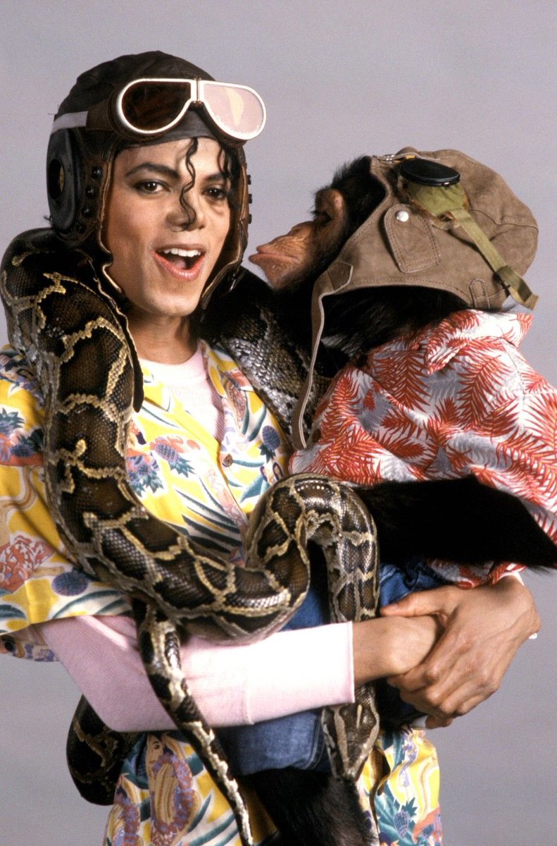 MJThrillsHer ☽ ♡ tweet media