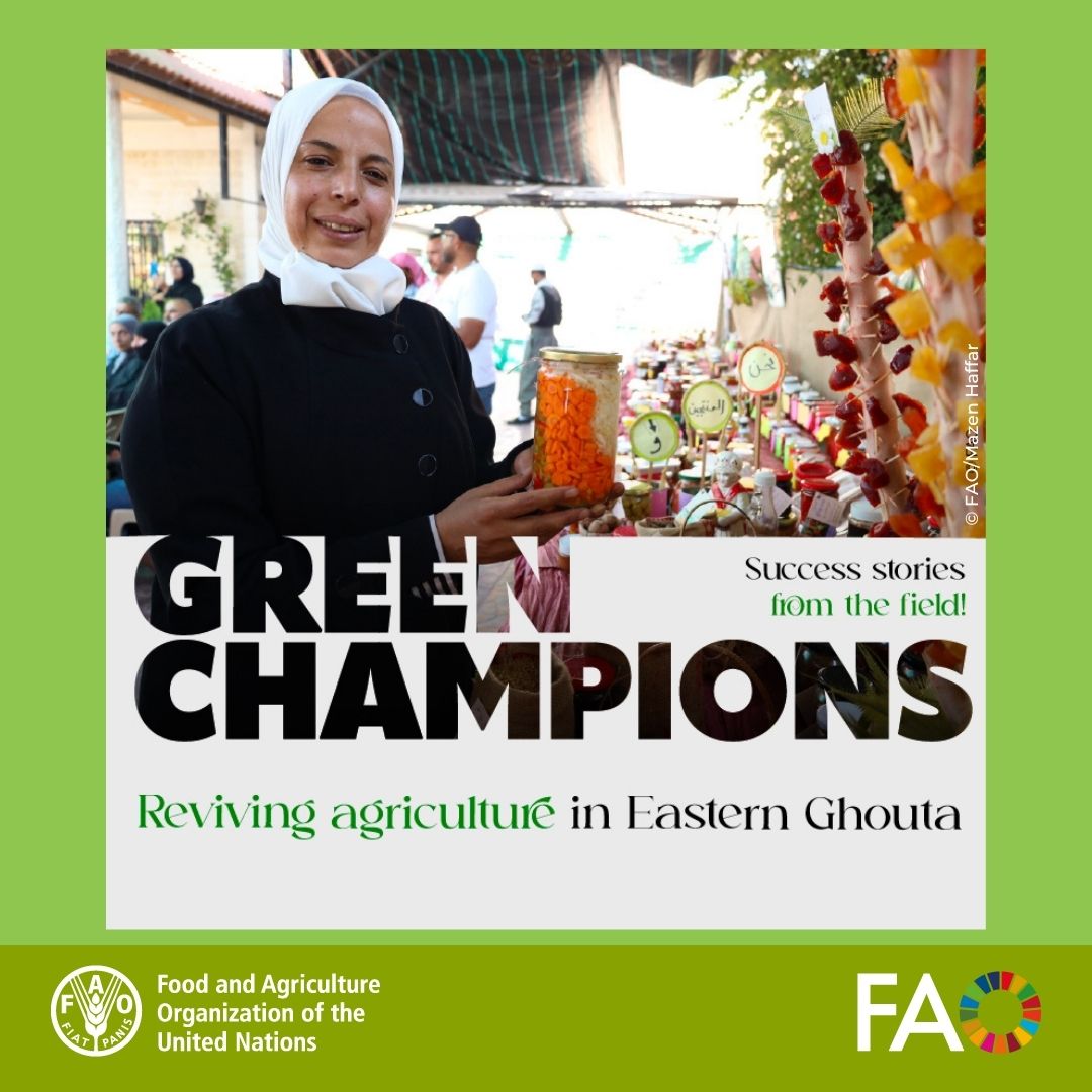 FAOinNENA_EN's tweet photo. Farmers in Eastern Ghouta are rebuilding livelihoods through climate-smart agriculture, solar-powered irrigation and women-led enterprises 🌱

Read more about how @FAO and partners are helping strengthen resilience in Syria: https://t.co/dOhsFGXz9q

#GreenChampions #Syria https://t.co/Emj6MSjvAF