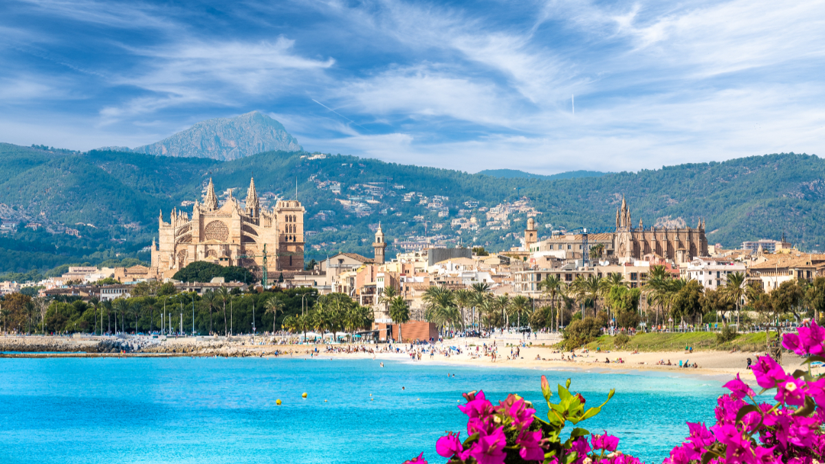 Iberia Express tweet media