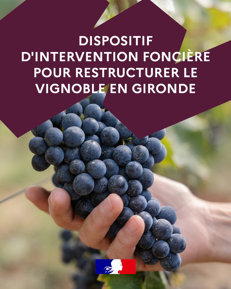 Image de Préfète de la Nouvelle-Aquitaine et de la Gironde - #Viticulture 🍇 | Un appel à manifestation d’intérêt (AMI) a été lancé afin d’identifier le foncier 