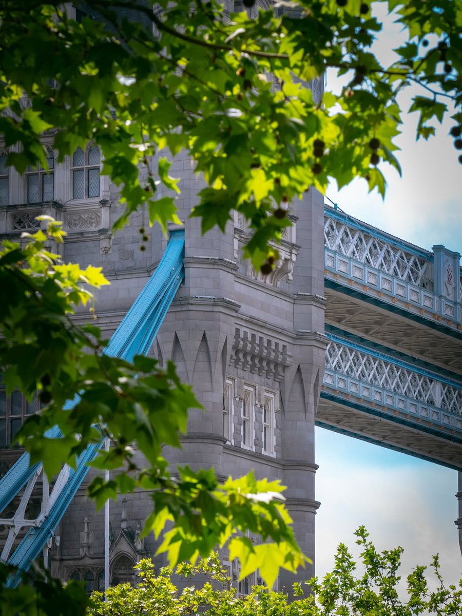 Tell me you’re in London without telling me… [📸 @s_nappe_r] #LondonMakesItPossible #VisitLondon ow.ly/lYpG50YW6UX