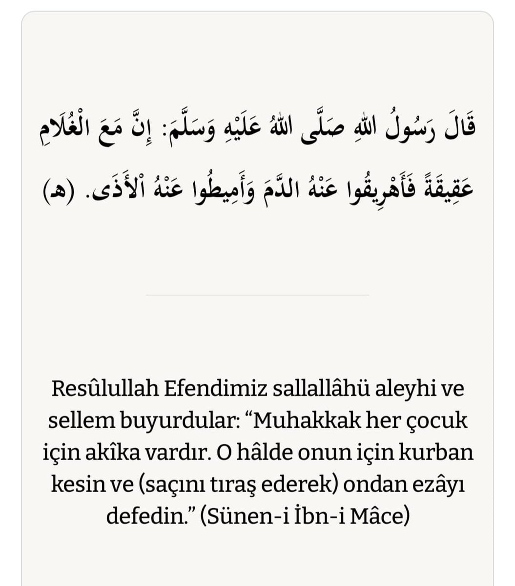 Hamdi KAVİLLİOĞLU tweet media