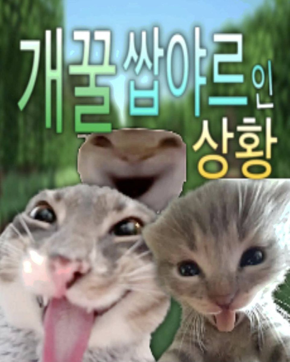 심심이 tweet media