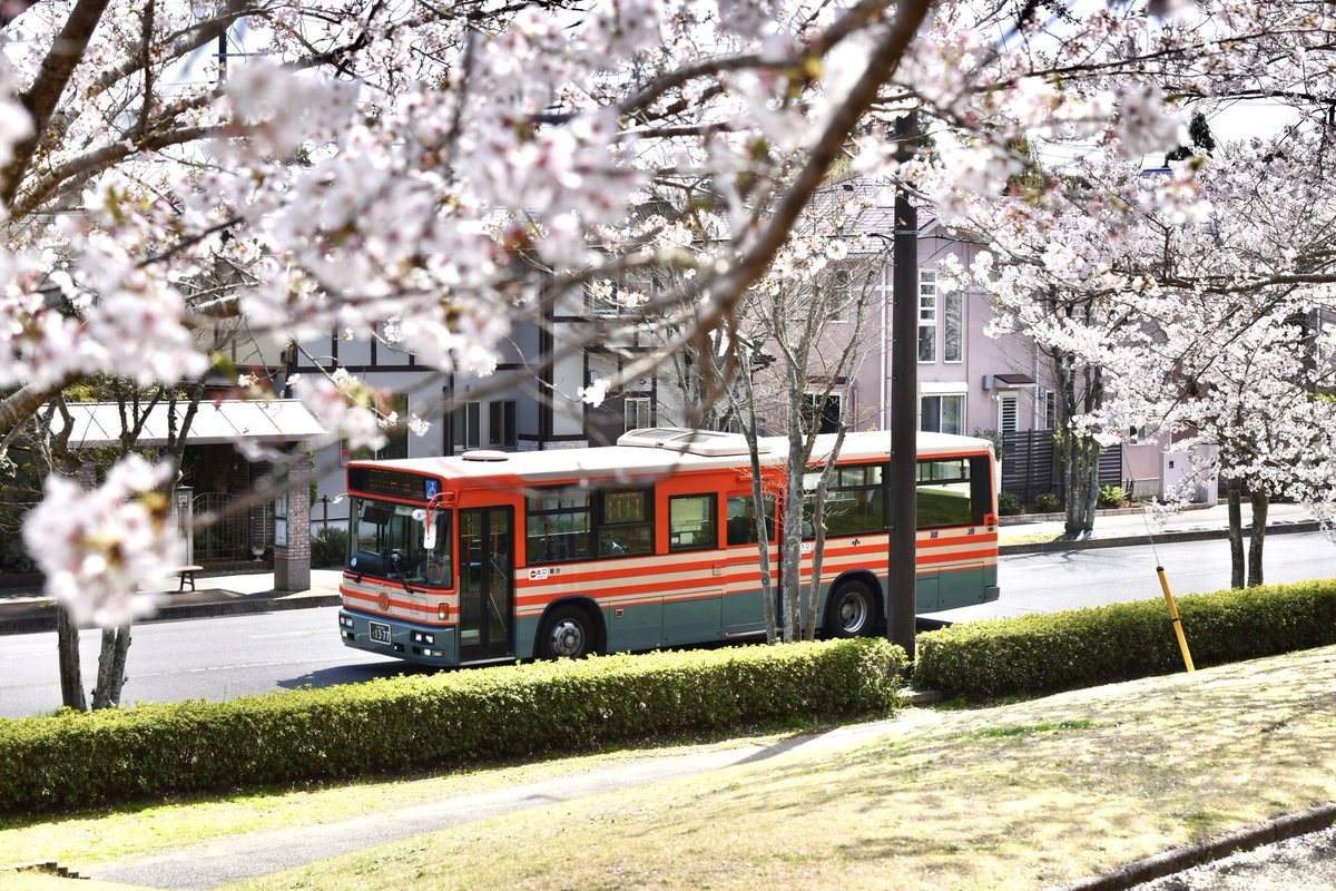 u_ht2m's tweet photo. 小湊鐵道バス

千葉200か1377
KL-UA452MAN

UAを堪能しに再び大網へ
満開の桜が各所にありUAとうまく絡めました

運転手様、今回もありがとうございました。 https://t.co/zGx70spoFu