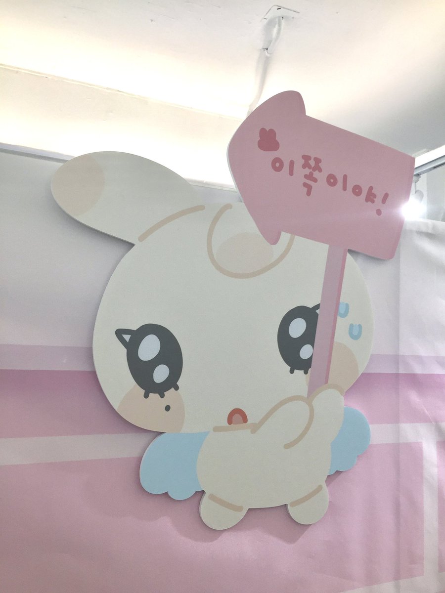 순애 tweet media