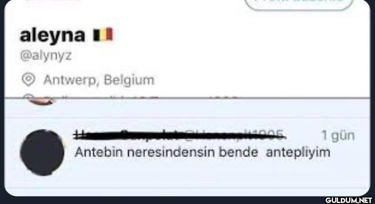 yaşanmamış hayata övgü tweet media