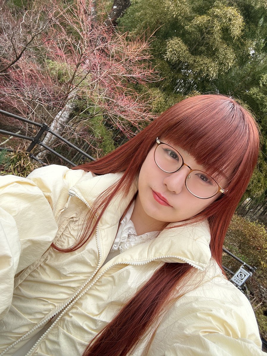 ほわ (@howaneko_2022) / Posts / X