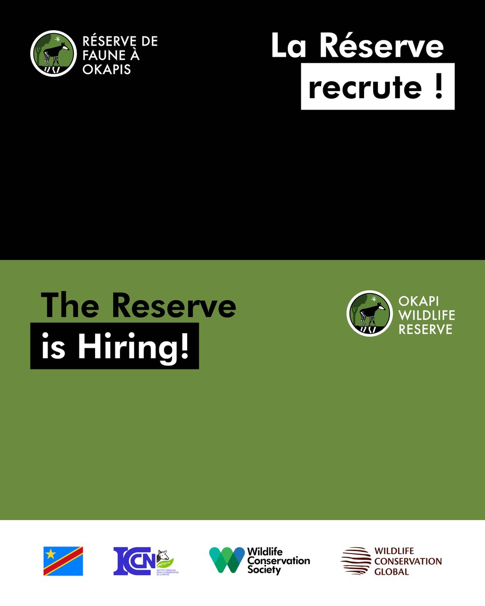 Réserve de Faune à Okapis tweet media