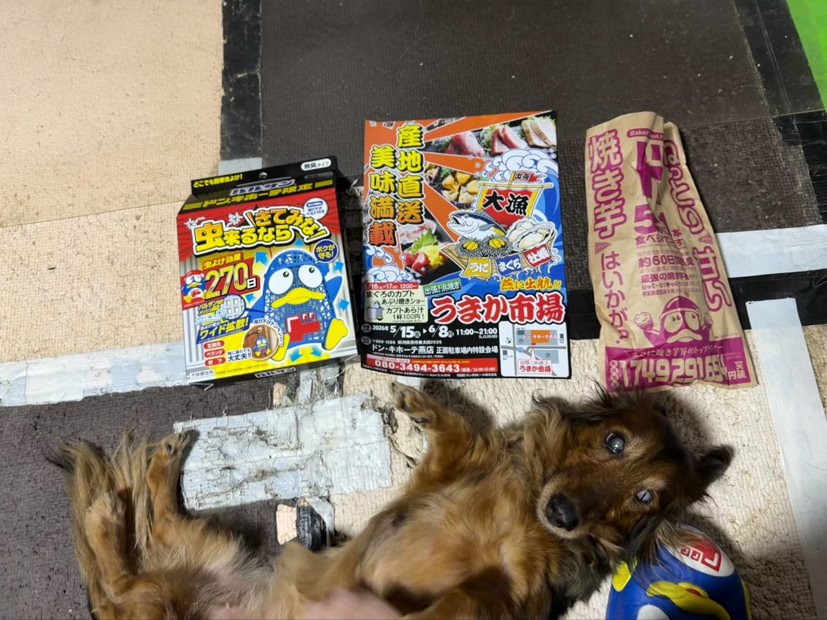 新井さん tweet media