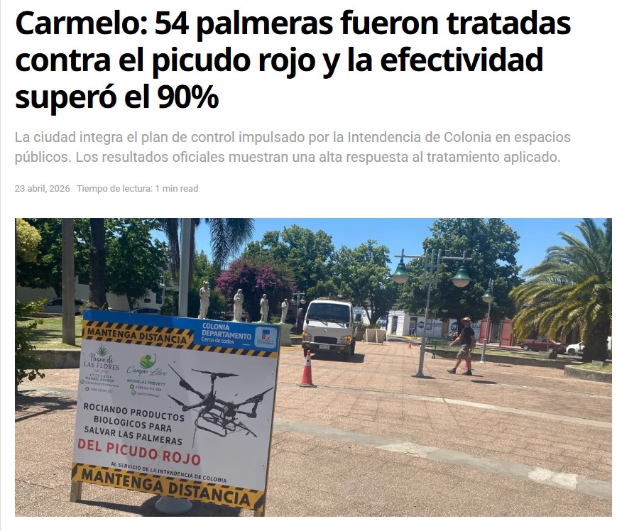 Cuestor tweet media