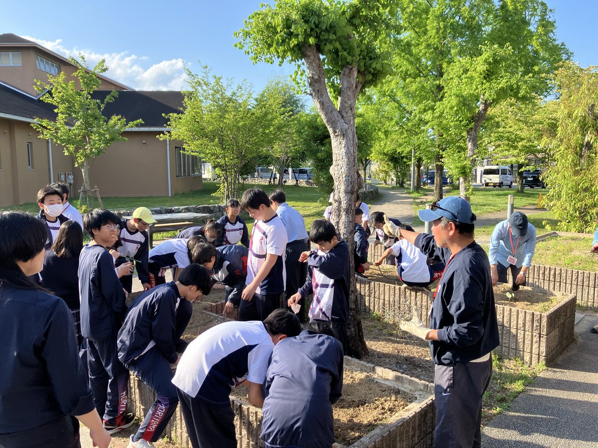 PIECLEX_JP's tweet photo. 昨年に続き、今年で2回目となる「鎌倉シャツコットンプロジェクト@守山」が本日スタートしました🌱
 守山市、JA、メーカーズシャツ鎌倉、ヤンマーマリーナ、立命館守山中学校・高等学校のみなさまとともに、守山市内3ヶ所でタネ植え・苗植えを実施。

未来につながるコットンをみんなで育てていきます！

#守山市　#メーカーズシャツ鎌倉　#ヤンマーマリーナ　#ピエクレックス　#PFACTS