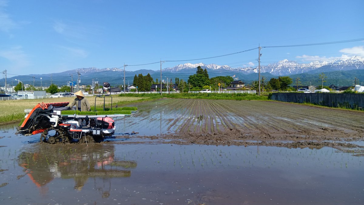 ami_d51's tweet photo. 今日は「富山あぐりマッチボックス」を利用して、田植え補助の1日バイトに初挑戦♪
農家の皆さんにはめちゃくちゃ親切に接していただき、剣岳を拝みながらの仕事は最高でした☀
本当にありがとうございました！
タイミングが合えばまた宜しくお願いします✨ https://t.co/ghDJPh3pcV