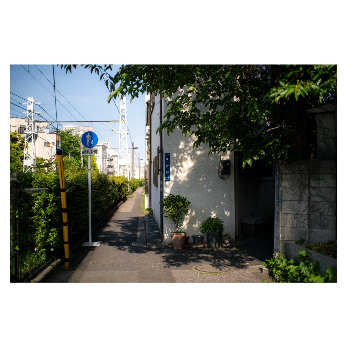 汽澄 tweet media