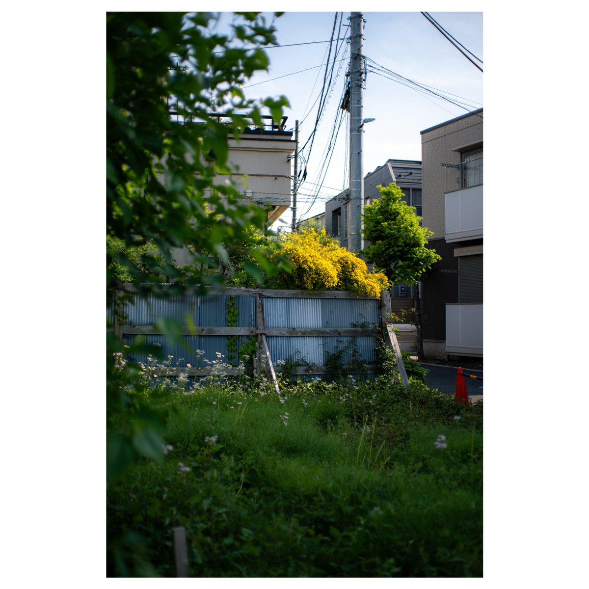 汽澄 tweet media