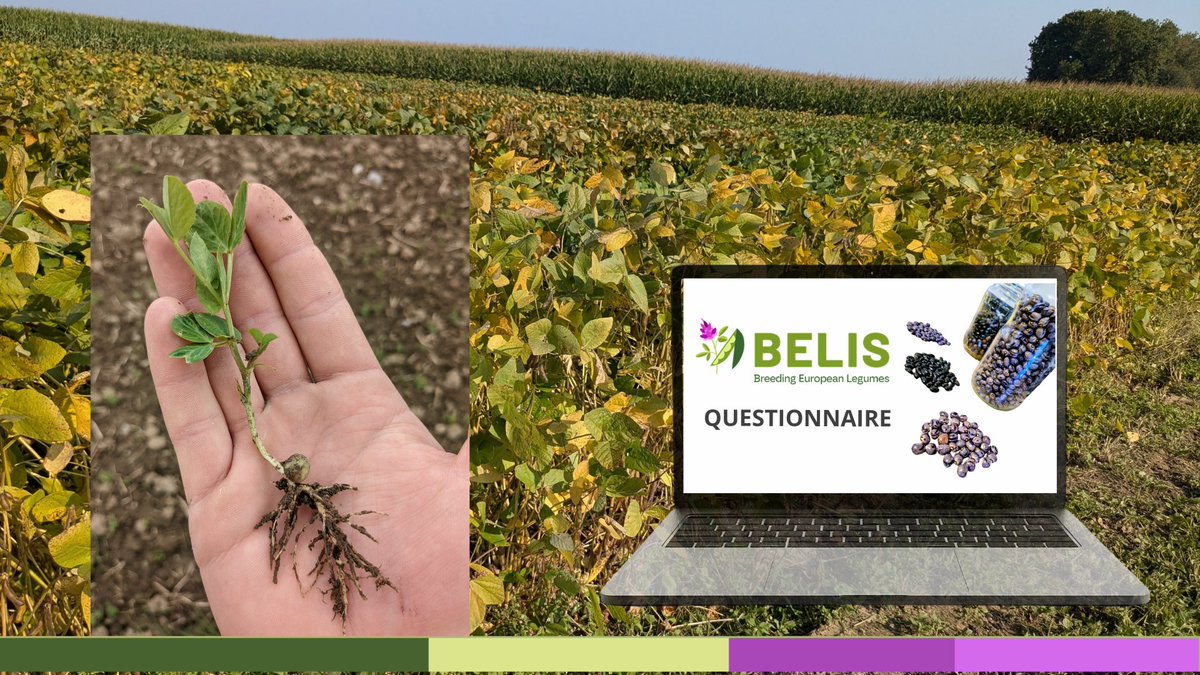 BELIS Project tweet media