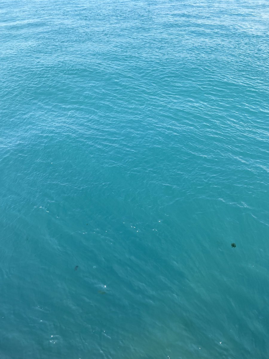 sibelaltints's tweet photo. İstanbul Mavisi 🌊 https://t.co/vFuwa6wfAi