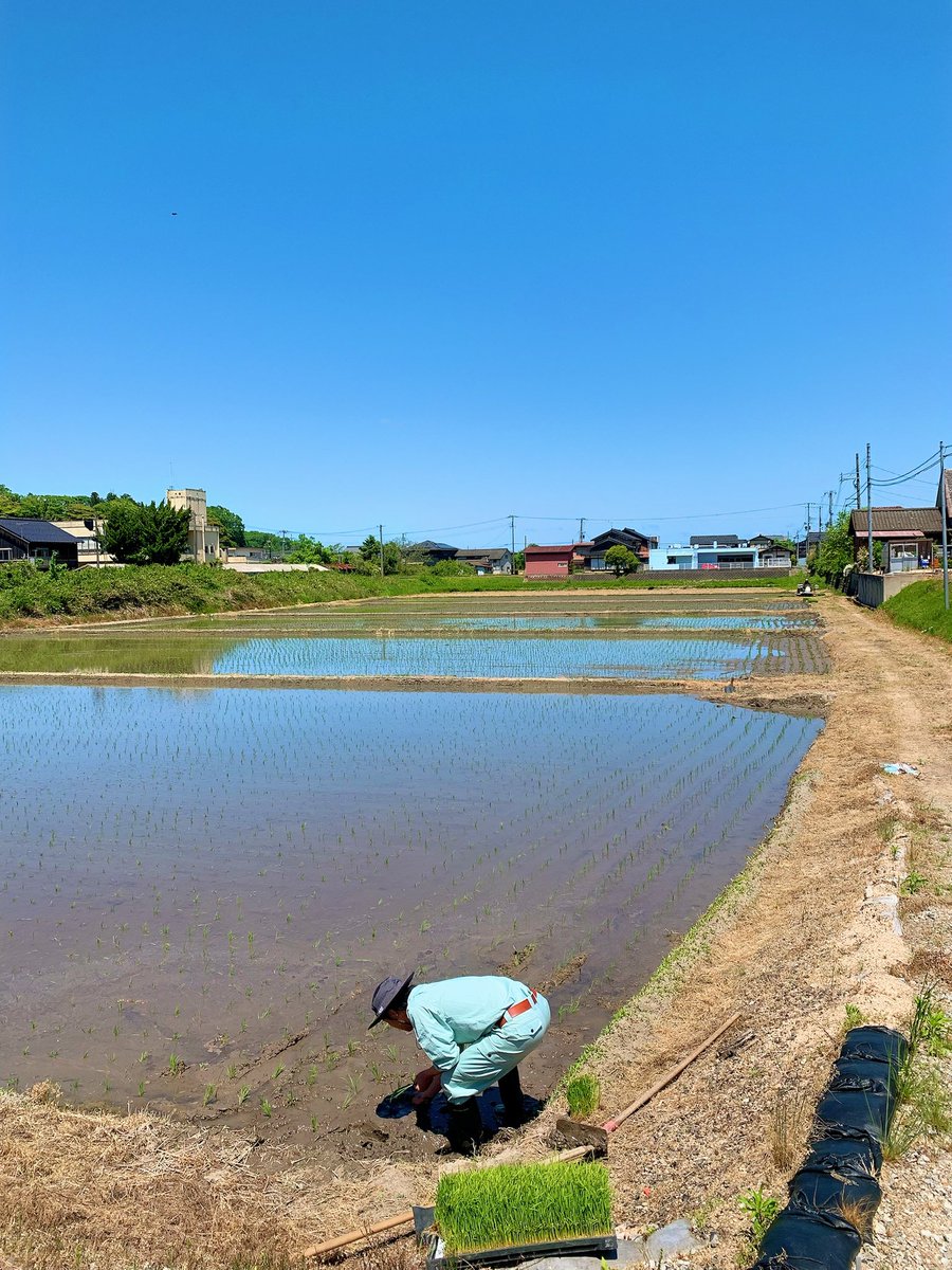 dddddateya's tweet photo. GW明けて実家帰省🏠
田植えの時期です🌱男3人で秒で終わらせました！田舎の空気は落ち着きます♪
日焼けが…日焼け止め塗ってももろともしない💦 https://t.co/YW82nhqvfh