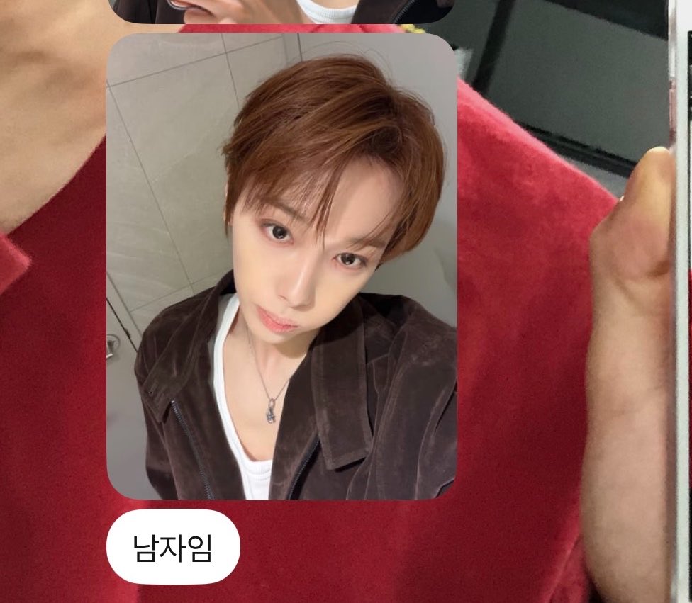 아늑견 tweet media