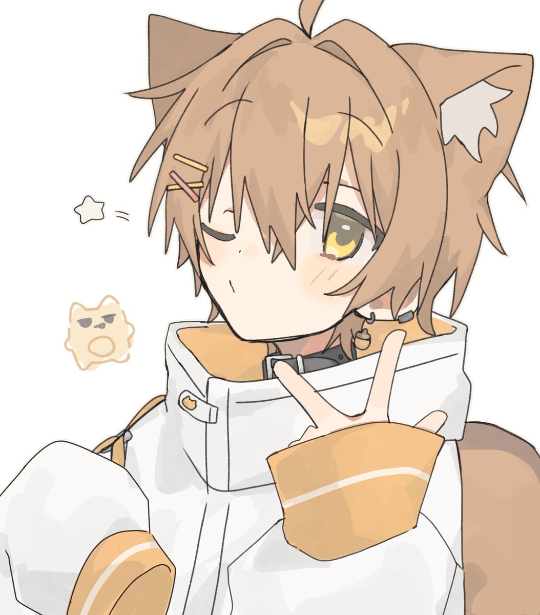 たぬきもち tweet media