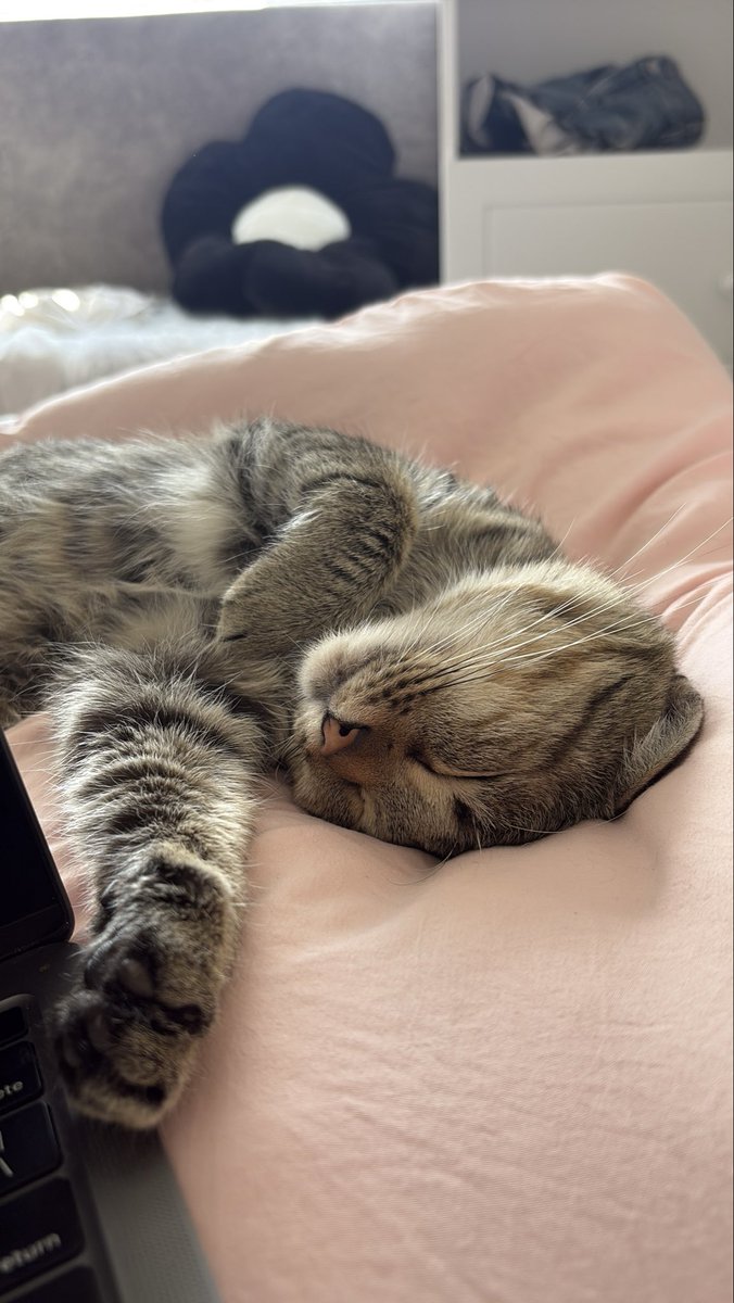 itshelltai's tweet photo. such a qt https://t.co/kZgKBI7tpa