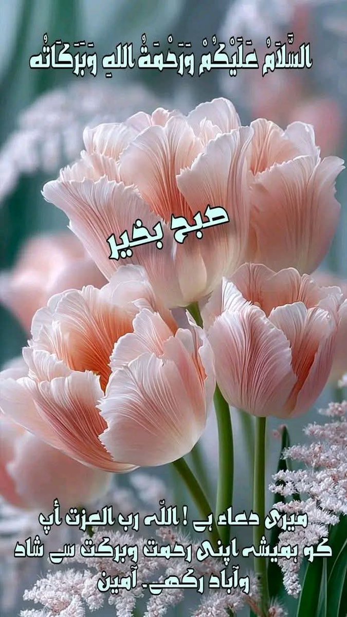 Mohammad99669's tweet photo. @BublyKuri https://t.co/eMRTA43utL