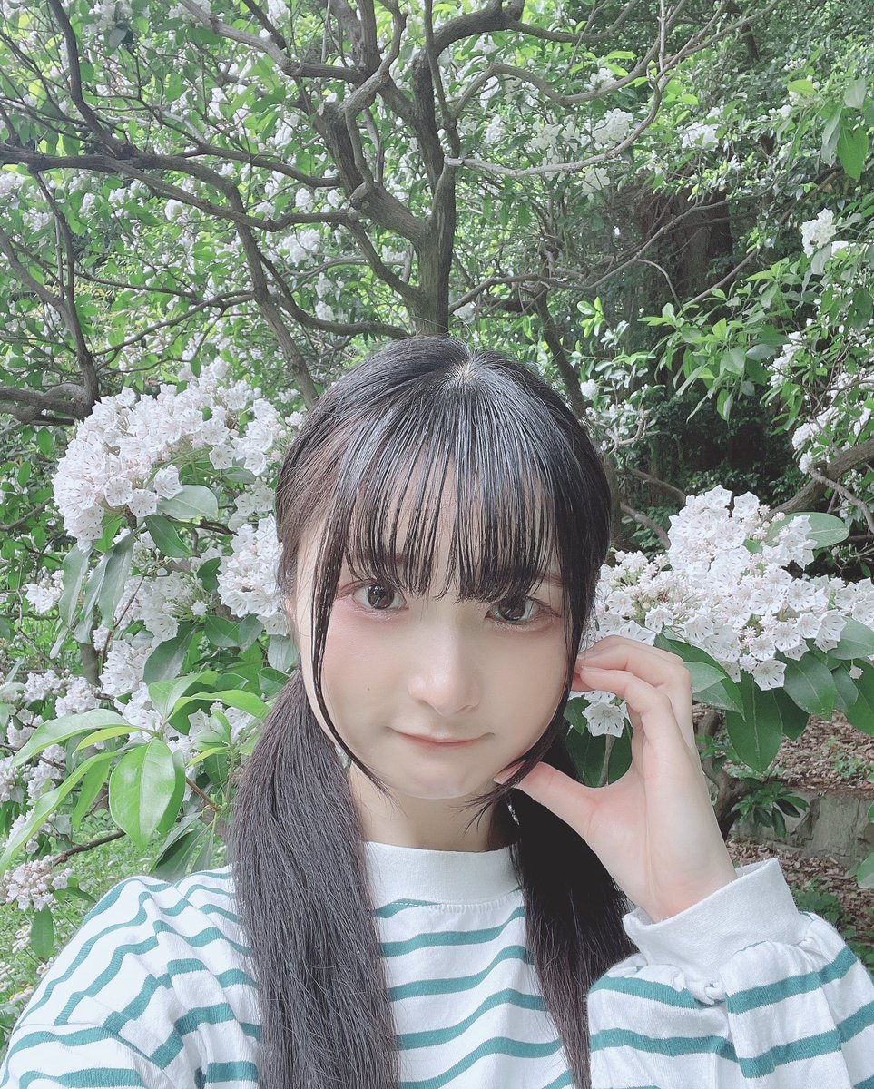 真白莉早 tweet media