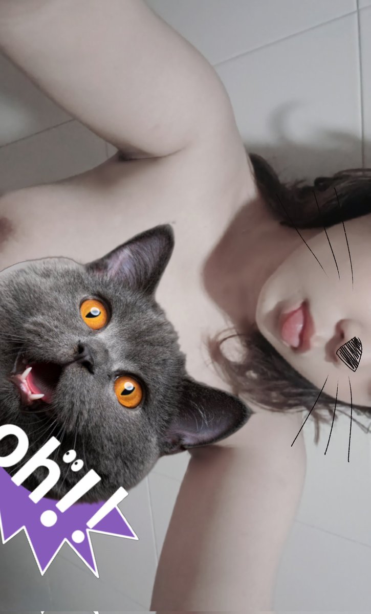 mistriariae's tweet photo. This black kitty's got a bad cattitude~ https://t.co/BTC4H842Z2