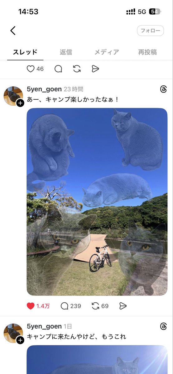 ぶま tweet media