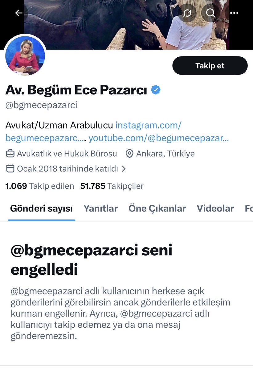 Av. Gizay Dulkadir tweet media